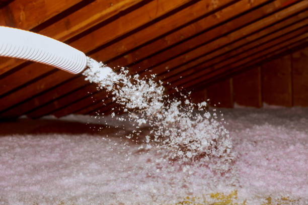 Best Insulation Maintenance and Repair in Wilder, VT