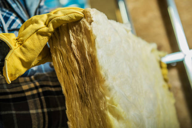 Best Eco-Friendly Insulation in Wilder, VT